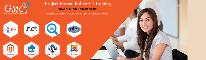 Industrial Training in Indore